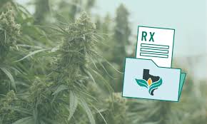 Maybe you would like to learn more about one of these? How To Get A Medical Marijuana Prescription In Texas Compassionate Cultivation