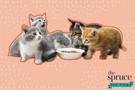 We can help you with that. The 6 Best Wet Foods For Your Kitten In 2021