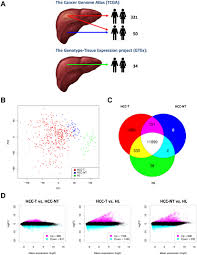 I tried flashing unlocked firmware (u1) but it does not work on that either. The Immune Contexture Of Hepatocellular Carcinoma Predicts Clinical Outcome Scientific Reports