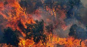 I contributi liberali raccolti saranno impiegati per iniziative di solidarietà per le comunità. Incendi E Allerta In Sardegna Mercoledi 7 Luglio Bollino Arancione