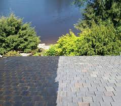 Claimed categorized under business services (unclassified) Https Johnnytsunami Com Https Johnnytsunami Com Wp Content Uploads 2015 12 Window Cleaning Silverdale Wa Ymca 2 Johnny Tsunami Wash Home Slider Jpg Johnny Tsunami Is Kitsap County S Best Window Cleaning Service Https Johnnytsunami Com