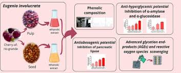 Image result for Faroa involucrata