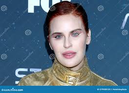 Belle Fox Stock Photos