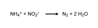 We did not find results for: The Nitrogen Cycle Processes Players And Human Impact Learn Science At Scitable