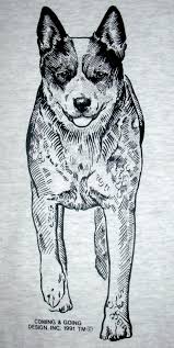 Black And White Blue Heeler Clipart Australian Cattle Dog Aka Queensland Heeler By Iamfinebydesign 21 00 Australian Cattle Dog Blue Heeler Blue Heeler Dogs Cattle Dogs Rule