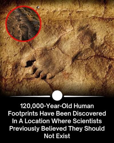 Researchers have discovered fossilized footprints estimated to be 120,000  years old in northwestern Saudi Arabia, near Al-Ula. This significant find  sheds light on early human activity and migration patterns in the region.