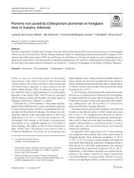 Check spelling or type a new query. Pdf Plumeria Rust Caused By Coleosporium Plumeriae On Frangipani Trees In Sumatra Indonesia