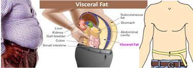 How Long Does It Take To Get Rid Of A Pot Belly And Have A Flat Stomach If  You Faithfully Do All That Is Necessary? - Quora