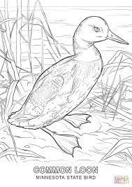 Minnesota State Bird Coloring Page Jpg 1020 1440 Bird Coloring Pages Coloring Pages Super Coloring Pages