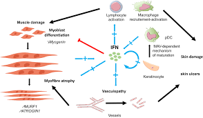 Plan well and intelligently, thinking in terms of cable runs, correct. Recessed Lighting Installation Necrotizing Myositis Fdguard Animal Models In Idiopathic Inflammatory Myopathies How To Overcome A Translational Roadblock Sciencedirect Recessed Lighting Is Perfect For Areas Such As The Kitchen Hallway