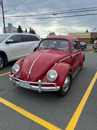 Image result for Poppy Red 1959 Volkswagen