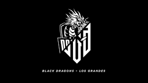 Tons of awesome free fire gaming logo wallpapers to download for free. Liga Brasileira De Free Fire Black Dragons E Los Grandes Firmam Parceria Campeonato Free Fire Ge