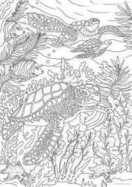 Line for kid army coloring pages 16 marines coloring pages coloring home. 130 Ocean Crafts Ideas In 2021 Ocean Crafts Ocean Coloring Pages Ocean Room