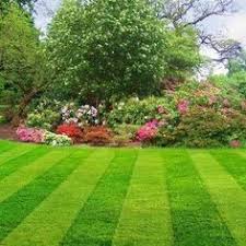 L&g lawn care is a locally owned pavers company in bonita springs, fl. 15 Lawn Striping Ideas Lawn Striping Lawn Lawn Care