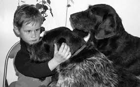 She participated in women's freestyle 63 kg at 2008 summer olympics. Band 89 5 2011 Ergebnis Der Ausserordentlichen Hauptversammlung Protokolle Vjp Ergebnisse Deutsch Drahthaar Blatter Pdf Free Download