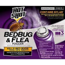 Pin On Bed Bugs