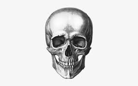We did not find results for: Report Abuse Realistic Pirate Skull Drawing Transparent Png 291x432 Free Download On Nicepng