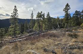 Emmett's Trail and Mini Ridge Loop , Montana