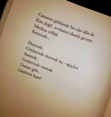 Sevda Yavuz Adli Kullanicinin Sairler Siirler Sozler Panosundaki Pin Siir Ustura Susmak