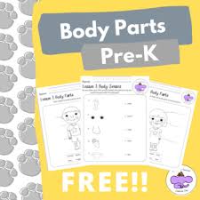 Charismatic knowledge worksheets for kids. Free Pre K Science Worksheets Body Parts Distance Learning Tpt