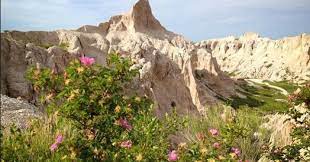 A native american prayer to manifest your heart's desire. Today With J P Ronan Native American Prayer For Rain