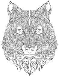 epingle sur un max de coloriages coloriage oiseau gratuit