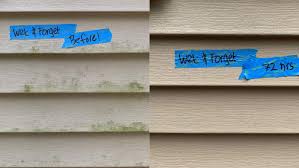Before painting, the surface must be cleaned thoroughly. Here S How To Clean Vinyl Siding On Your House Reviewed