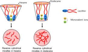 Combination therapy with lecithin and ergoloid mesylates for alzheimer's disease. Effect Of Hydrocarbon Chain Length Of Aliphatic Solvents On The Reverse Self Assembly Of Lecithin And Monovalent Ion Mixtures Sciencedirect