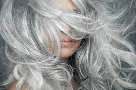 What happens if you pluck out your gray hair? Is Quarantine Stress Causing Your Hair To Turn Gray Gray Hair Guide Causes Transition