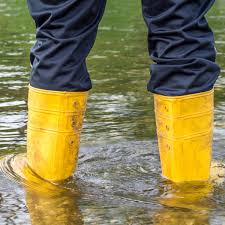 Fehlende zähne ersetzen wir durch zahnimplantate. Rhein Erft Hundertjahrliches Erft Hochwasser Erwartet Radio Erft