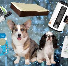 Check spelling or type a new query. Best Dog Black Friday Deals Sales American Kennel Club
