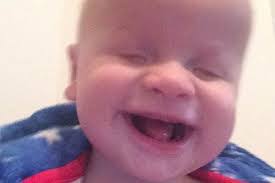 Elijah Davies's Instagram, Twitter & Facebook