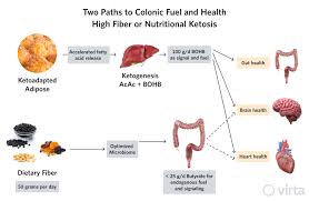 16 foods to eat on a ketogenic diet. Fiber And Colon Health On A Well Formulated Ketogenic Diet New Insights Question Its Role As An Unconditional Requirement