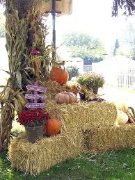 Pin On Fall Decor