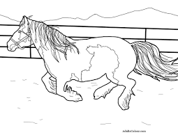 Horse and a pony color page. Horse Coloring Pages Pick And Print Your Pony