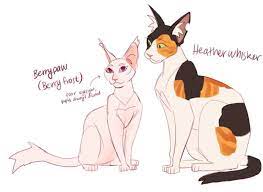 Berrypaw S Mentor Warrior Cats Warrior Cats Fan Art Warrior Cat