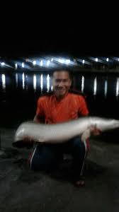 Kolam pancing wu ping jln kuari kampung cheras baru no.tel: Kolam Pancing Wu Ping Facebook