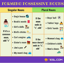 Possessive Noun Definition Rules Examples Of Possessive Nouns Possessive Nouns Possessive Nouns Examples Possessives