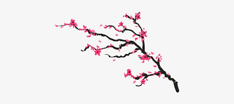 Look at links below to get more options for getting and using clip art. Drawn Cherry Blossom Transparent Cherry Blossom Drawing Png Free Transparent Png Download Pngkey