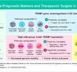Graphical Abstract Design Services To Improve Research ...