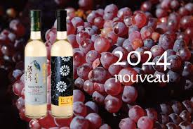 丹波ワインヌーボー（白）2024 予約受付930まで！ | 丹波ワイン四季情報