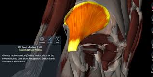 Exercises can be good but at times it is always important to have a good rest after each one of them to make sure that you get maximum benefits. Hip Pain Lateral Tendon Witty Pask Buckingham