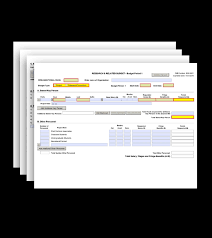 G 300 R R Budget Form