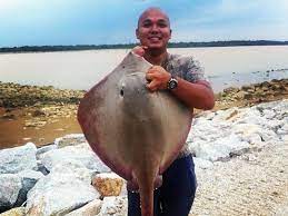 La posibilidad de hacer tal excepción al principio de pari passu en los mandamientos de mancomunación se ha dado también en otros casos. Spesies Pari Popular Negara Kita Umpan