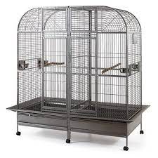 Double Cage With Center Divider For Bird Parrot Aviary W64xd32xh73 Pet Supplies Aviary Macaw Cage Parrot Cage