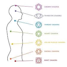 The Chakra System And The Physical Self Max Micallef Medium