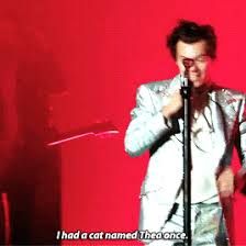 Share the best gifs now >>> Happy Birthday Gif Harry Styles