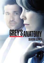 En réalité, elle est chez alex afin de trouver du réconfort après la révélation de maggie. Grey S Anatomy Streaming Tv Show Online