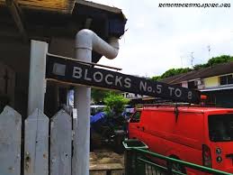 They both share a 20+ relationship, so it is unknown if they are really married. Sims Avenue Remember Singapore