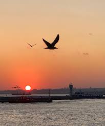 Instagram Da Nesrincik Fotoselect Doga Nature Bosphorus Bogaz Manzara Landscape Sehir City Gunbatimi Sunset Fotograf Manzara Instagram